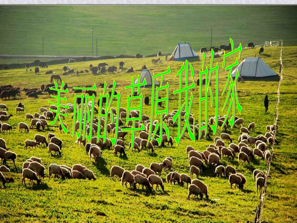 第七板块美丽的草原我的家_第1页