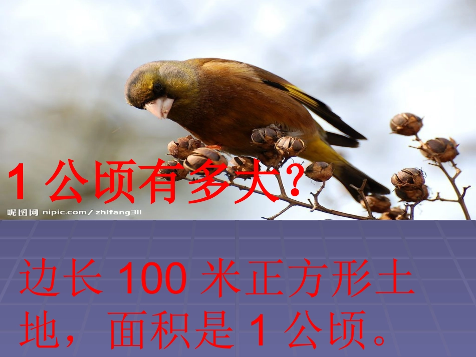 公顷和平方米_第3页