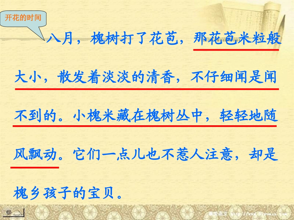 4槐乡的孩子1_第3页