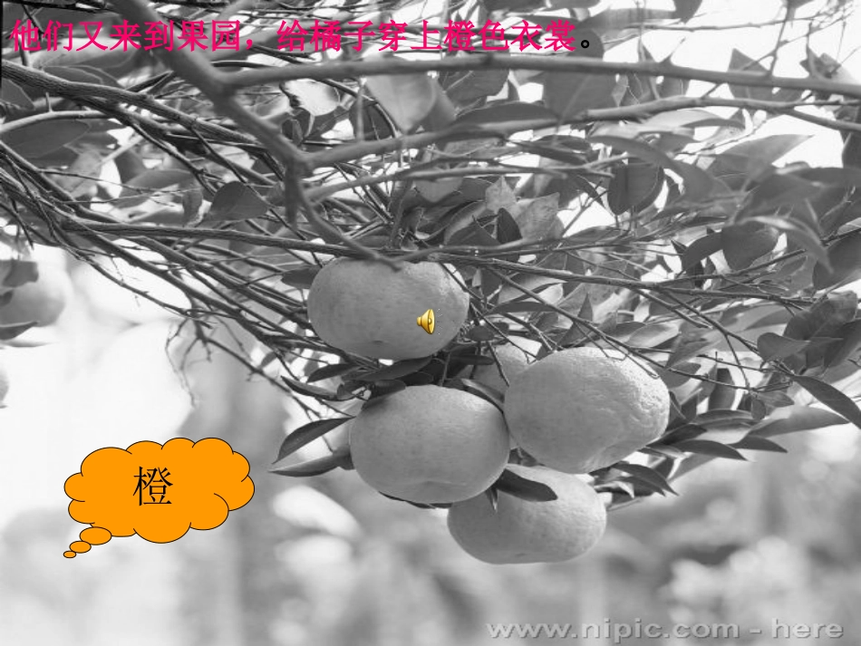调皮的七彩光_第3页