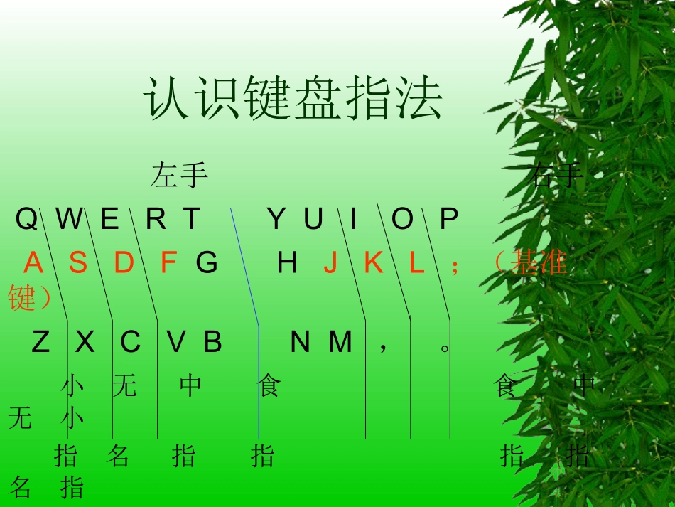 认识键盘指法_第1页