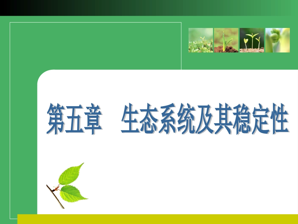 生态系统结构_第1页