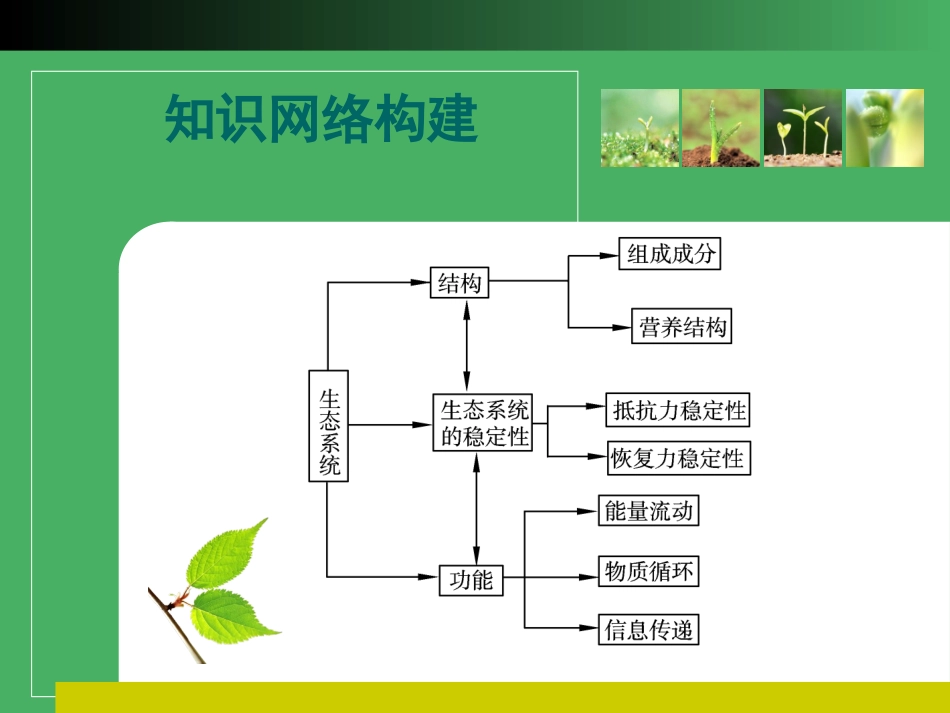 生态系统结构_第2页