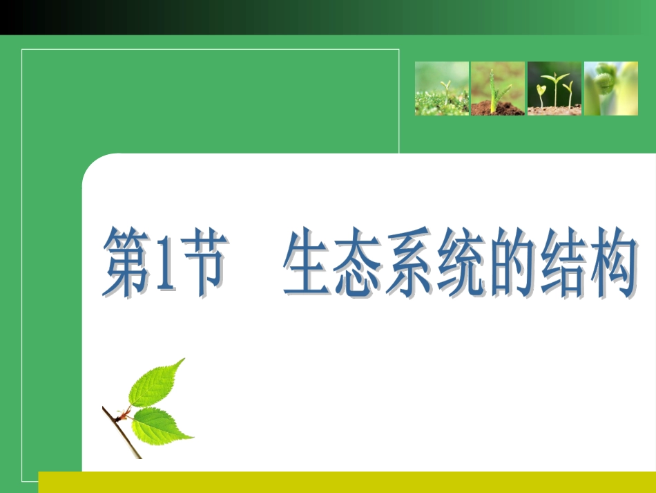 生态系统结构_第3页