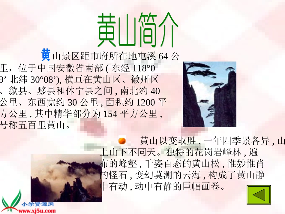 《黄山松》课件_第3页