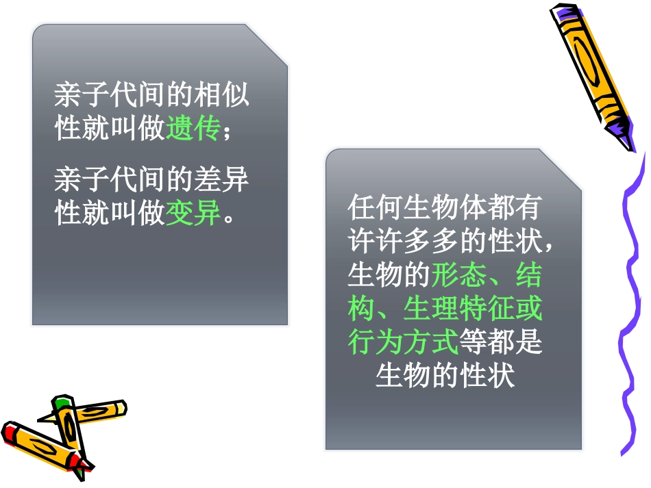 第二节性状遗传_第3页