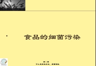 食品的细菌污染