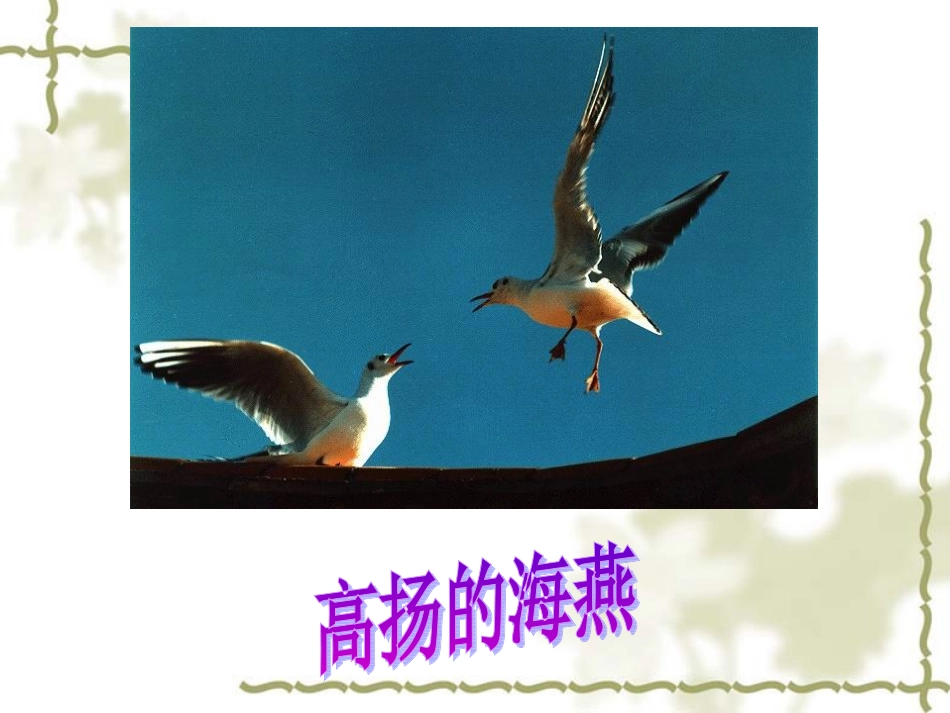 《海燕》公开课_第1页