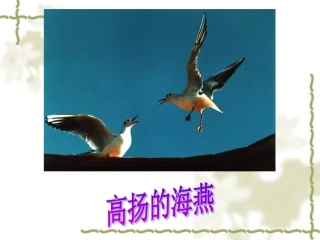 《海燕》公开课