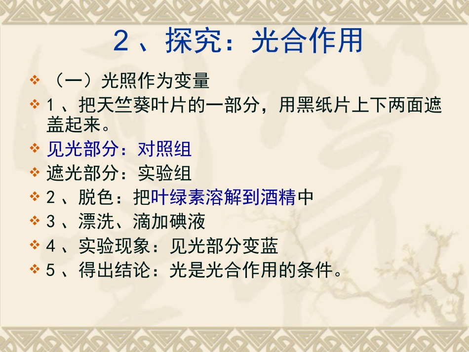 第七章绿色植物的光合作用九年级复习课件人教版_第3页