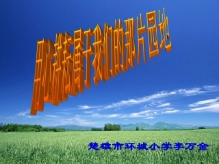 班主任工作交流