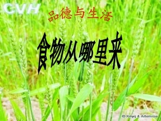 食物从哪里来