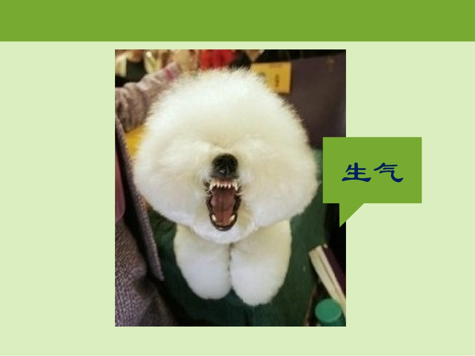 拥有好心情撒_第2页