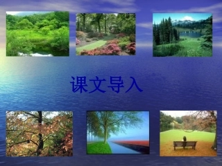 8《樵夫，别砍那棵树》课件