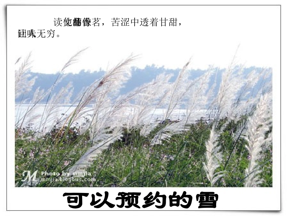 可以预约的雪_第3页