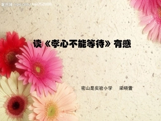 孝心不能等待