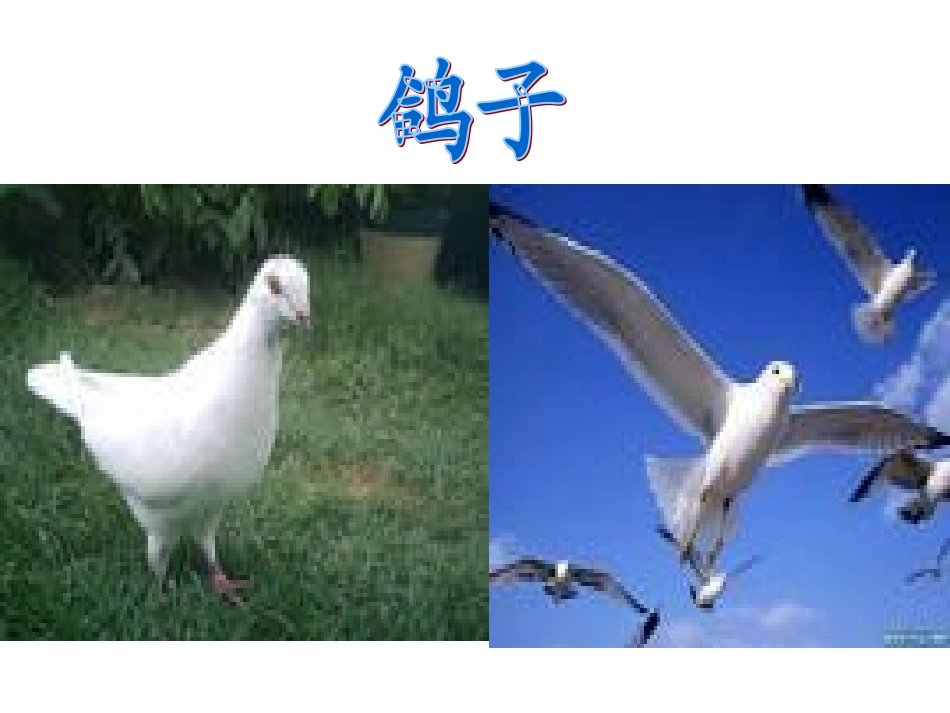 第二板块汉字家园（1）_第2页