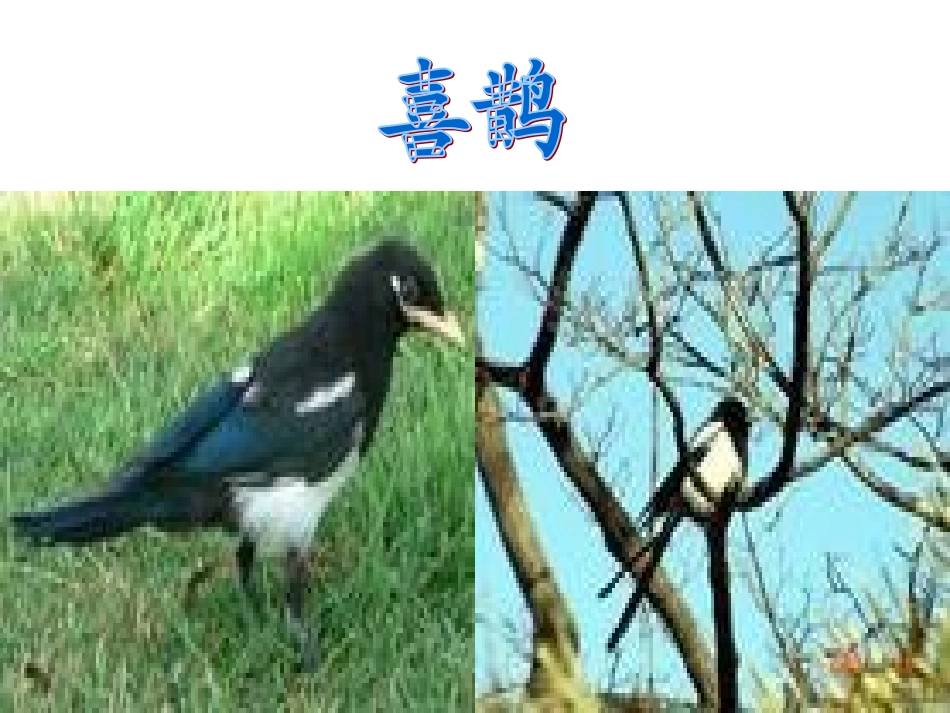 第二板块汉字家园（1）_第3页