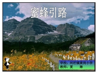 蜜蜂引路 (2)