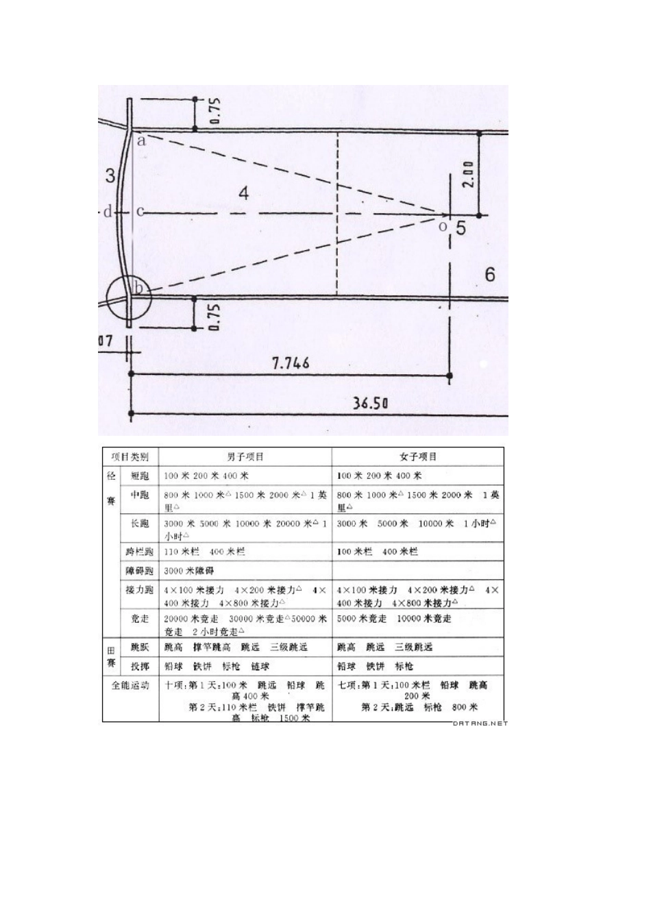 各种场地的画法_第3页
