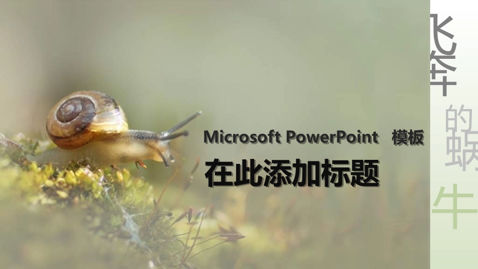 飞奔蜗牛图表_第1页