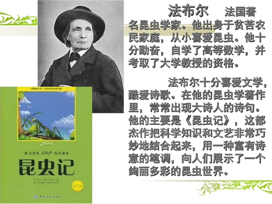 7蟋蟀的住宅 (2)_第2页