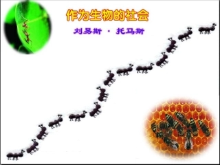 5-4-12作为生物的社会