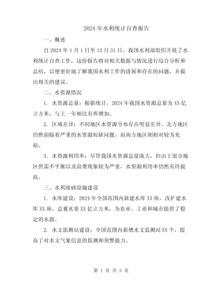 2024年水利统计自查报告 