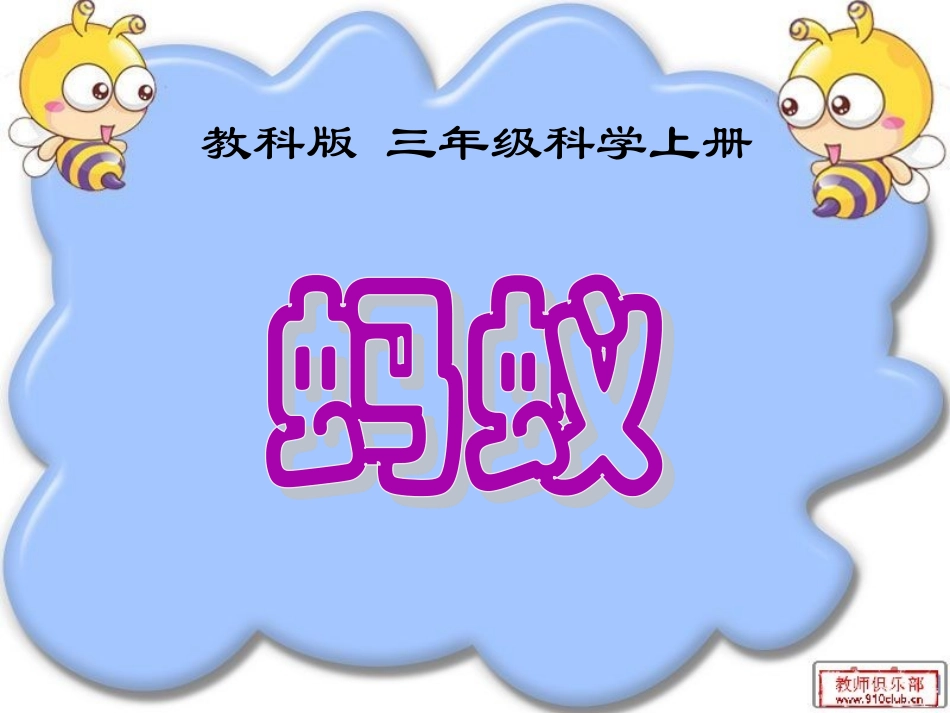 《蚂蚁》课件_第1页