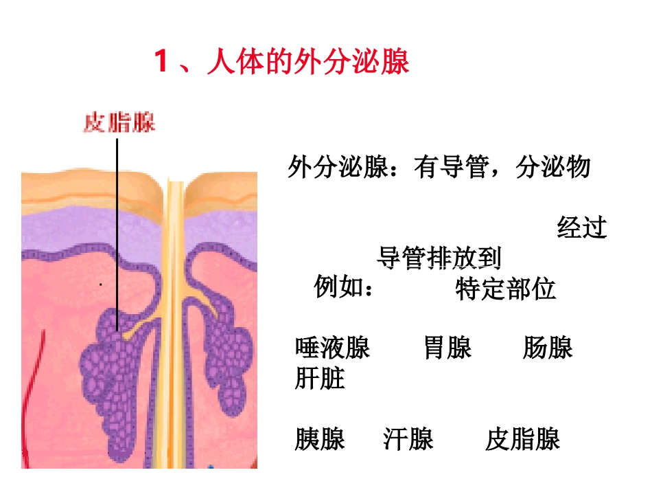 人体激素调节_第2页