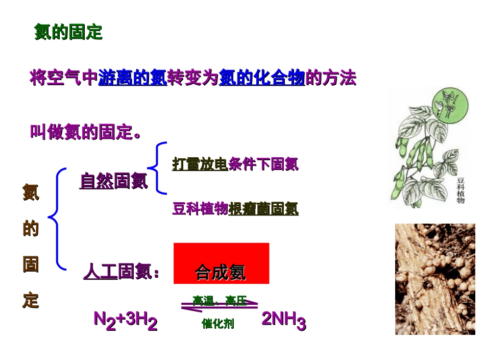 氨_硝酸_硫酸_第1页
