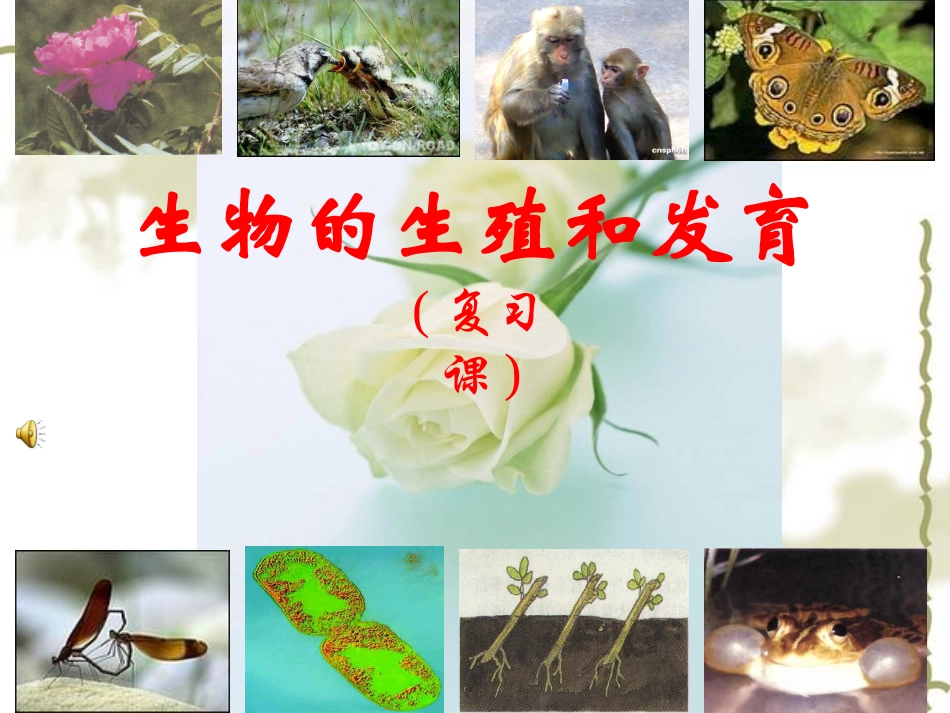 第七单元第一章：生物的生殖和发育复习课件_第1页