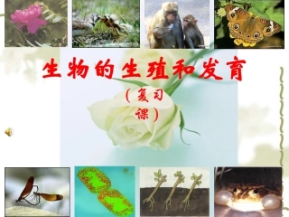 第七单元第一章：生物的生殖和发育复习课件