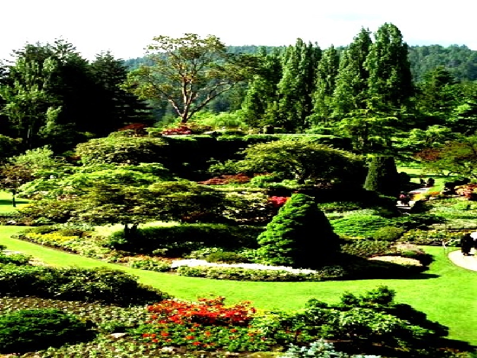 《兰亭集序》_第1页