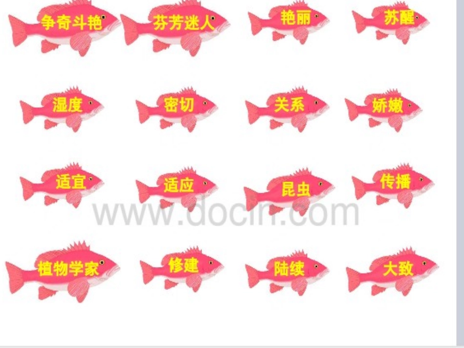 《花钟》 (2)_第3页