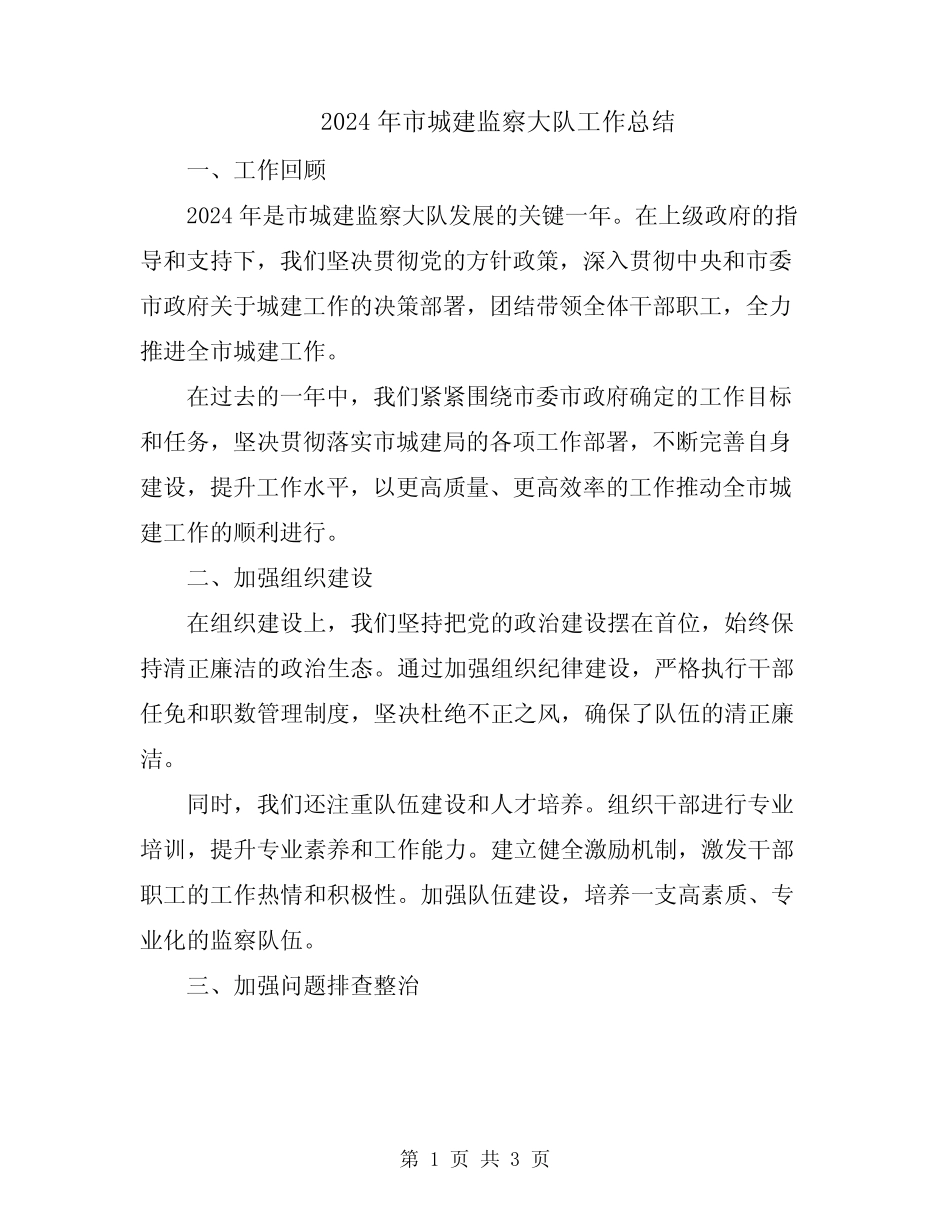 2024年市城建监察大队工作总结 _第1页