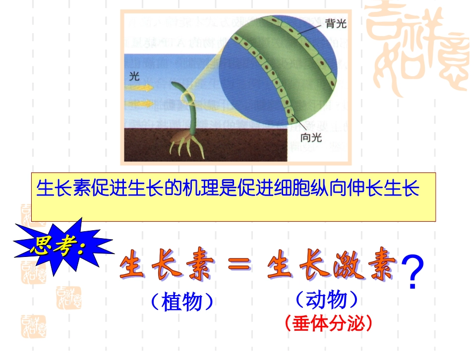 生长素生理作用_第1页