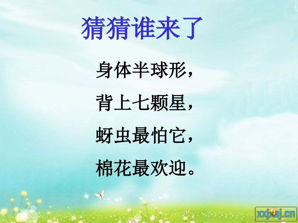 七星瓢虫吴丽卉_第2页