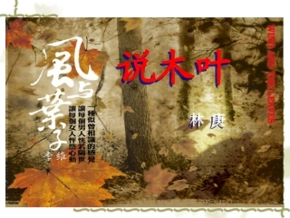 说木叶第二课时