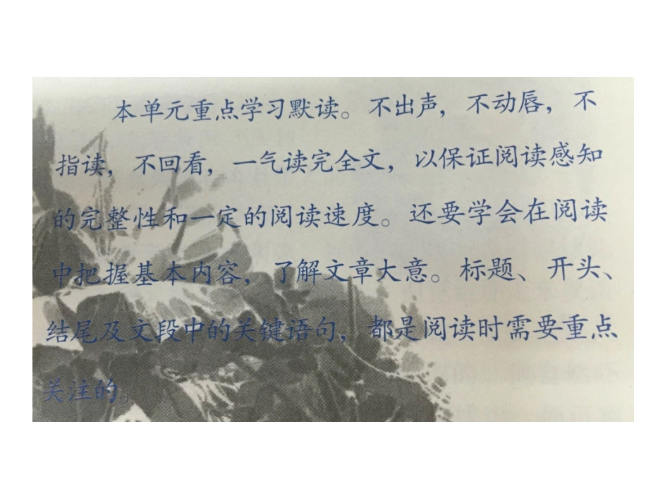 窃读记(1)_第2页