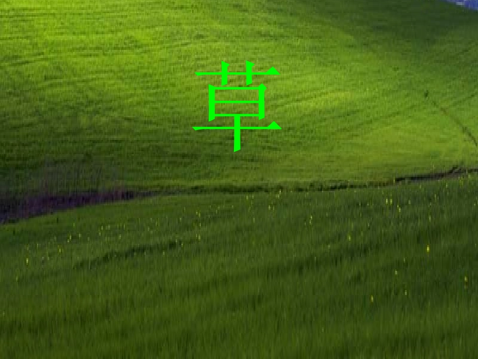 第4课《草》课件2（苏教版八上）_第1页