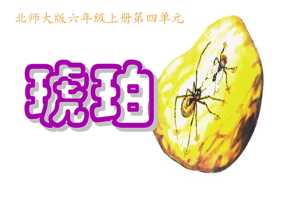《琥珀》说课_第1页