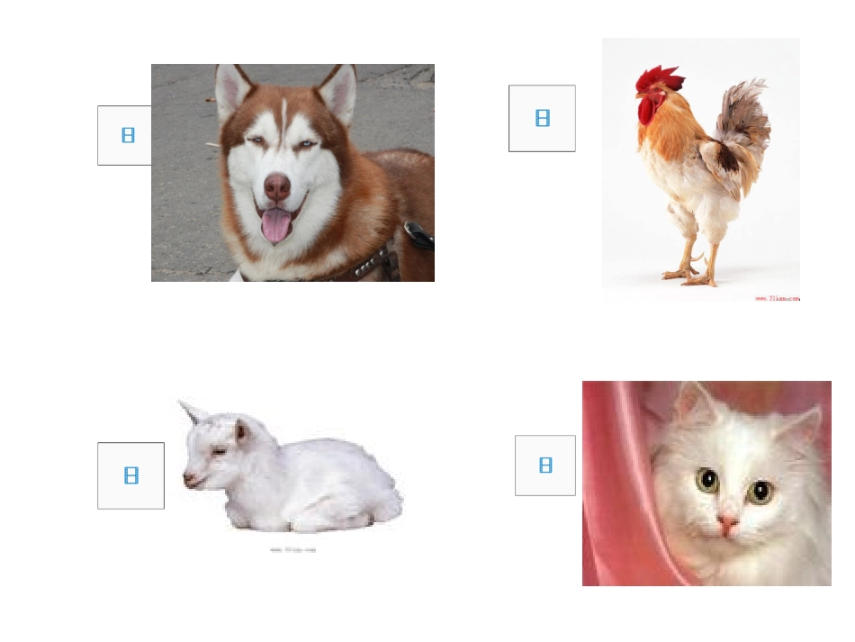 设计动物名片_第2页