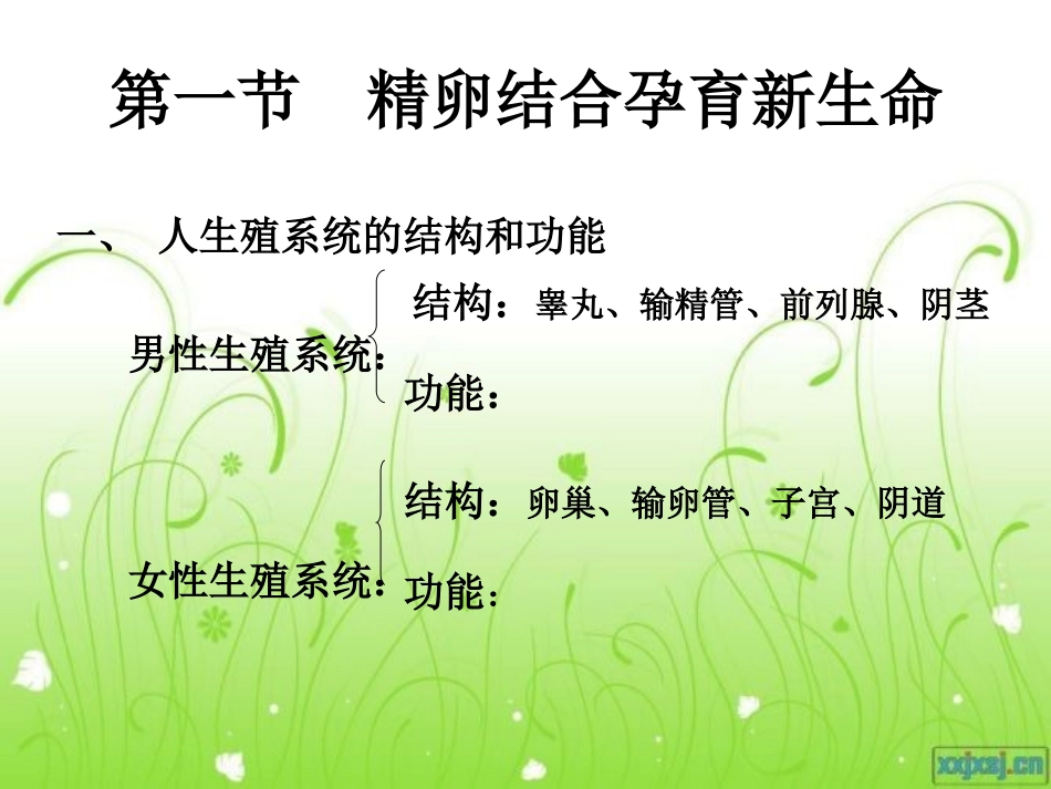 第一节精卵结合孕育新生命_第1页