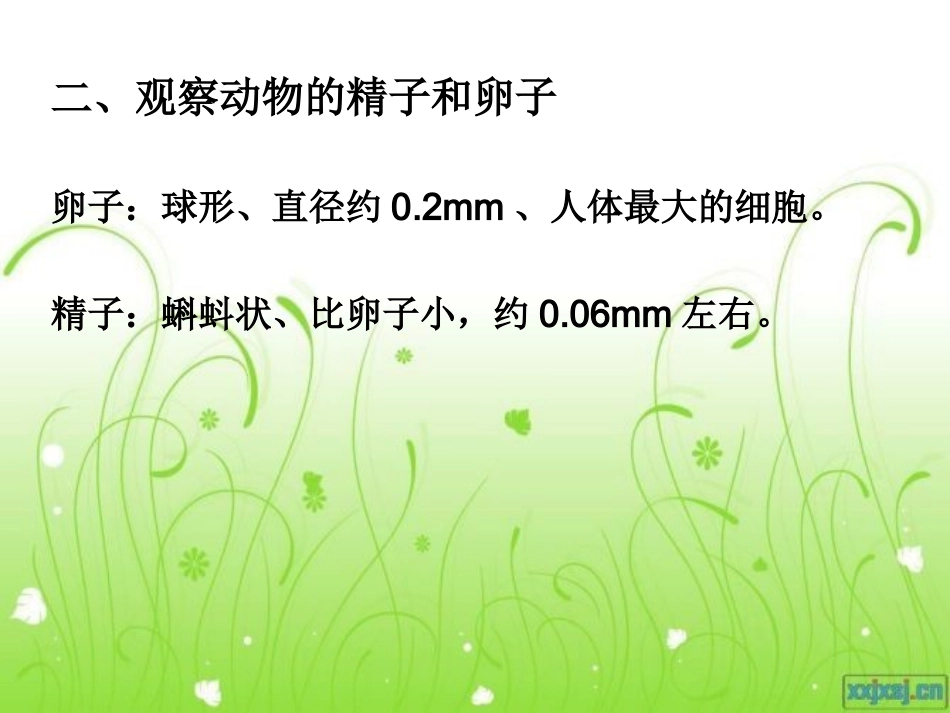 第一节精卵结合孕育新生命_第2页