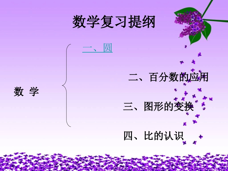 数学复习提纲_第1页