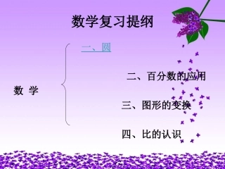 数学复习提纲