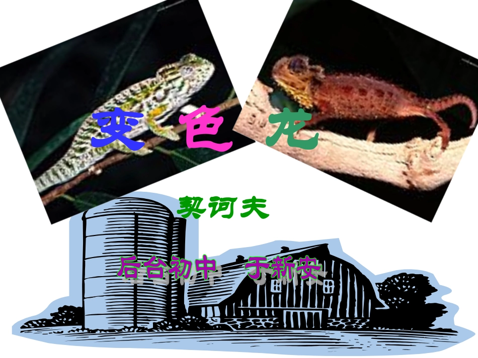 变色龙 (3)_第1页