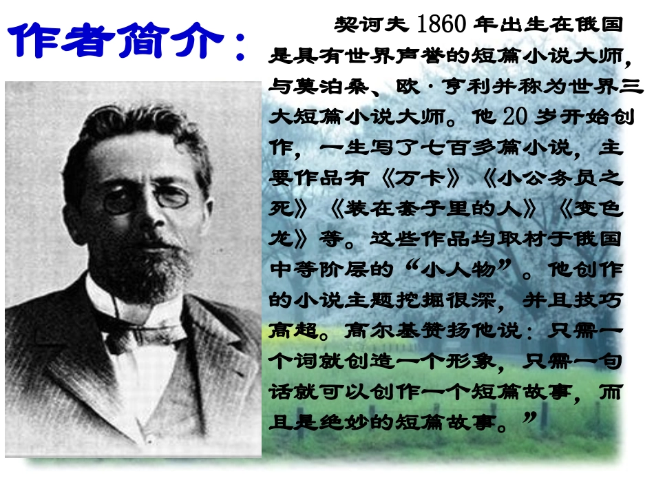 变色龙 (3)_第2页