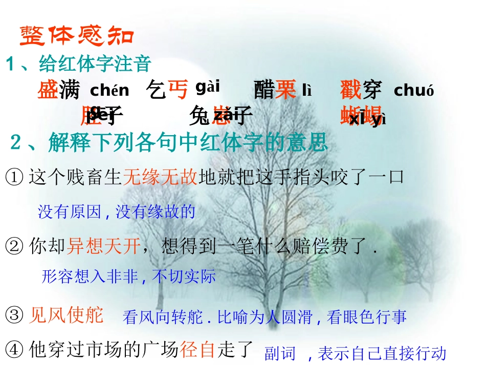 变色龙 (3)_第3页